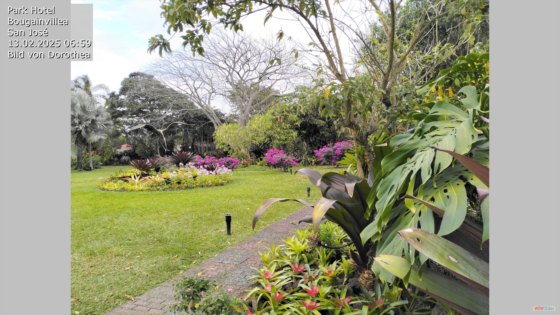 CostaRica TK 1003
