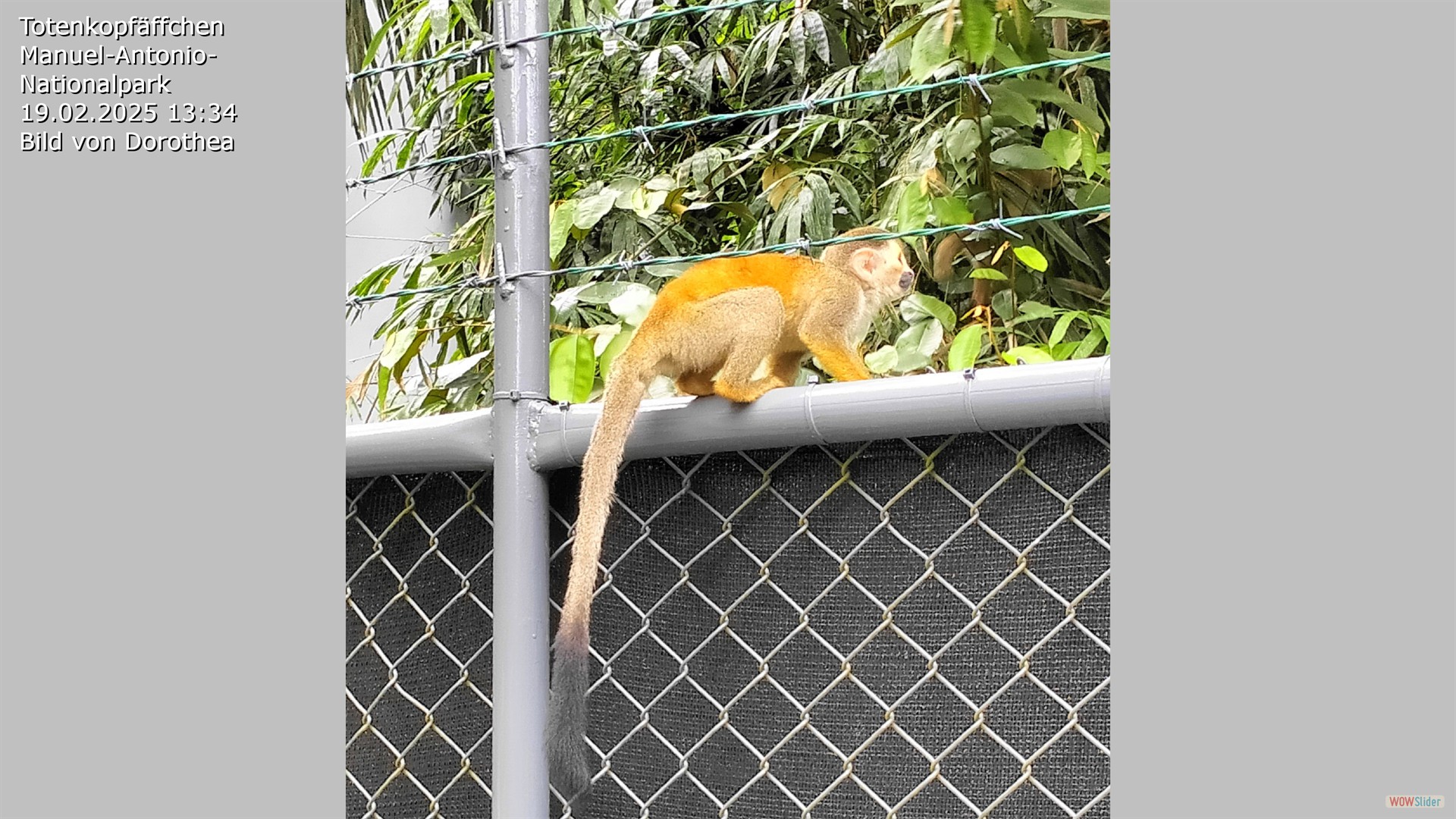 CostaRica TK 1257