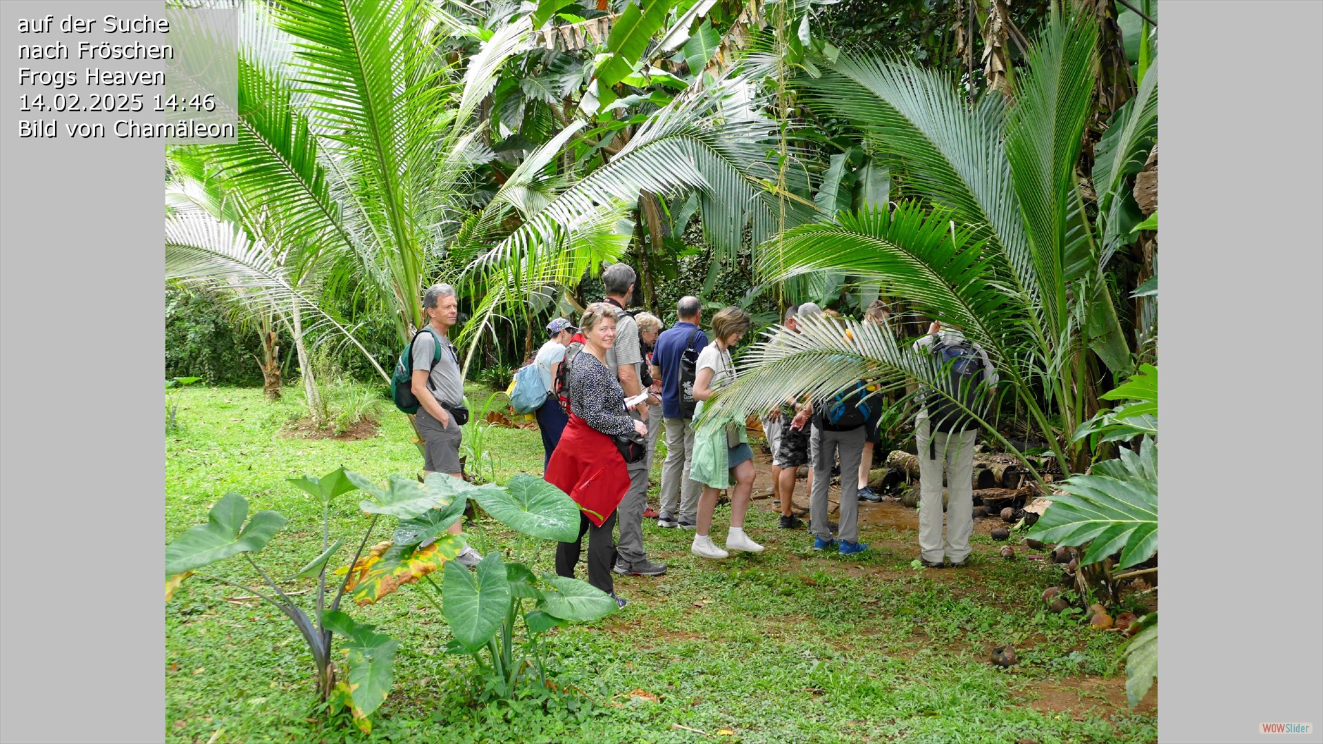 CostaRica TN 2001a