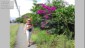 CostaRica MK 1002