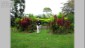 CostaRica MK 1054