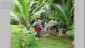 CostaRica TN 2001a